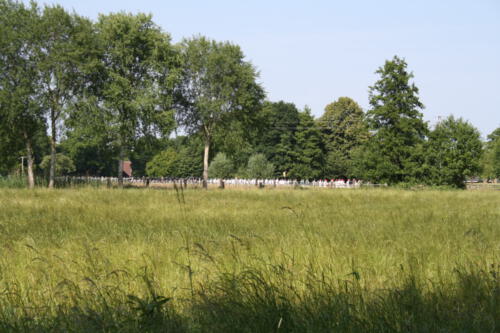 Schuetzen25 0315